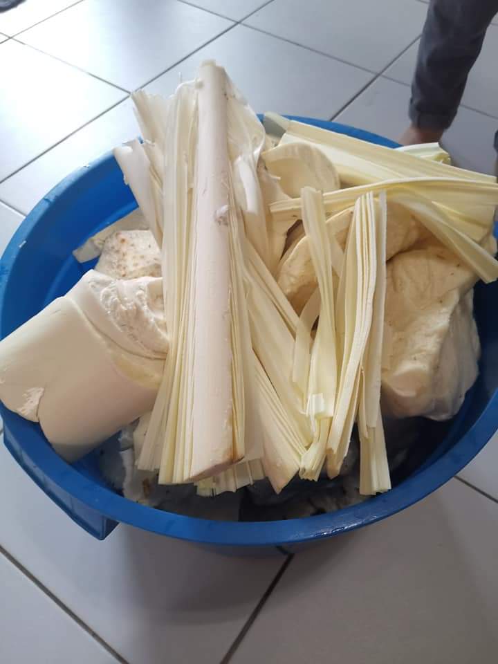 Twitter पर El Dee Umbut Kelapa Pondoh Empol Coconut Shoot Umbut Kelapa Yang Salah Satu Makanan Yang Terbilang Mudah Ditemukan Di Daerah Pantai Selain Bisa