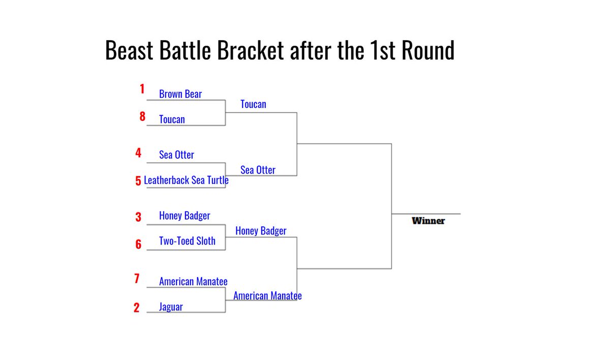 mrHoegh's tweet photo. Semifinals of the Byron Beast Battles commence in 10 minutes, with the championship to follow! #B5 #ByronBears #BMSBears https://t.co/TemA7xnOfz