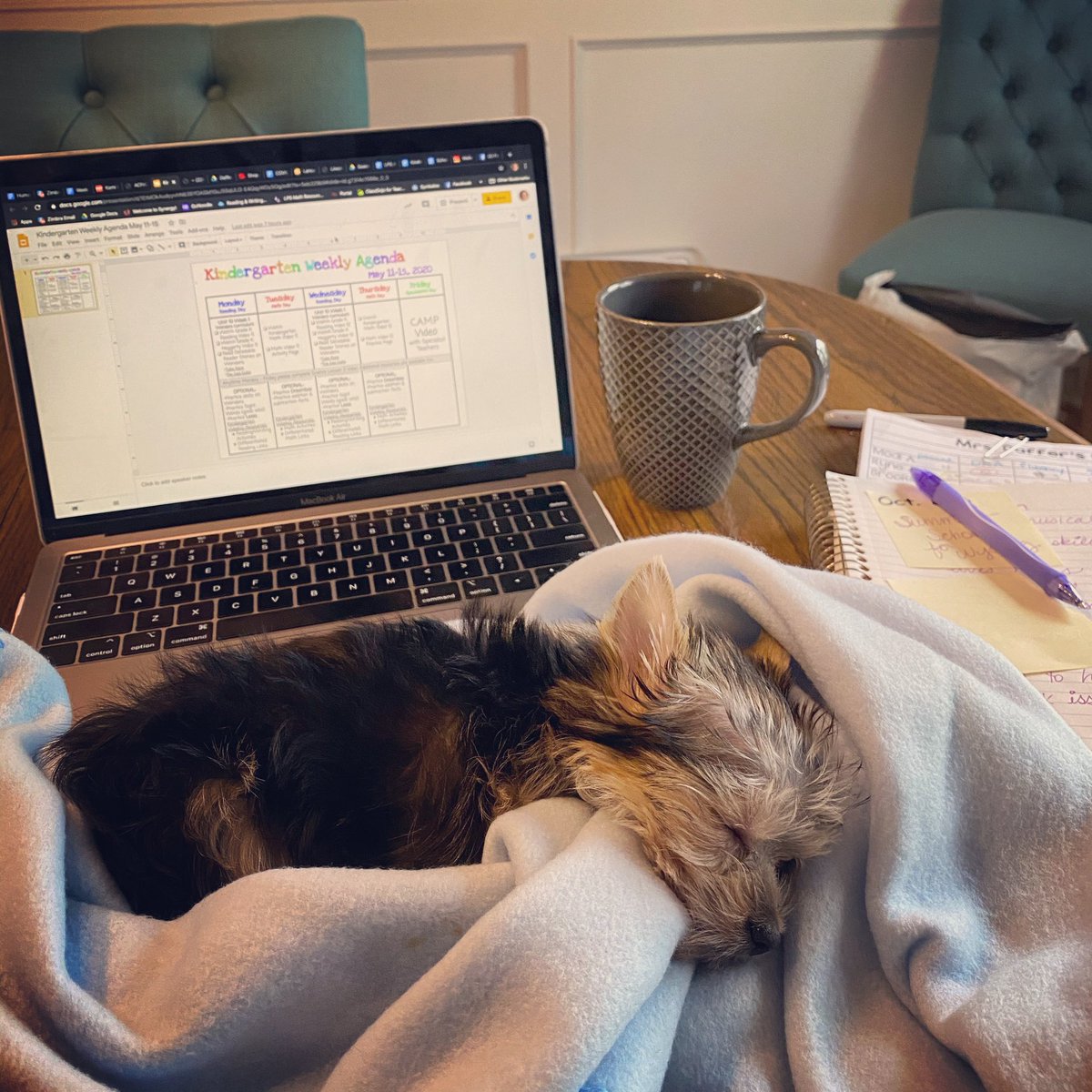 keridaffer's tweet photo. My “student” for today. I typically don’t let students sleep in my classroom but I’ll let it slide today. #remotelearning #puppylife #kindergarten https://t.co/qDNB6oaZUW