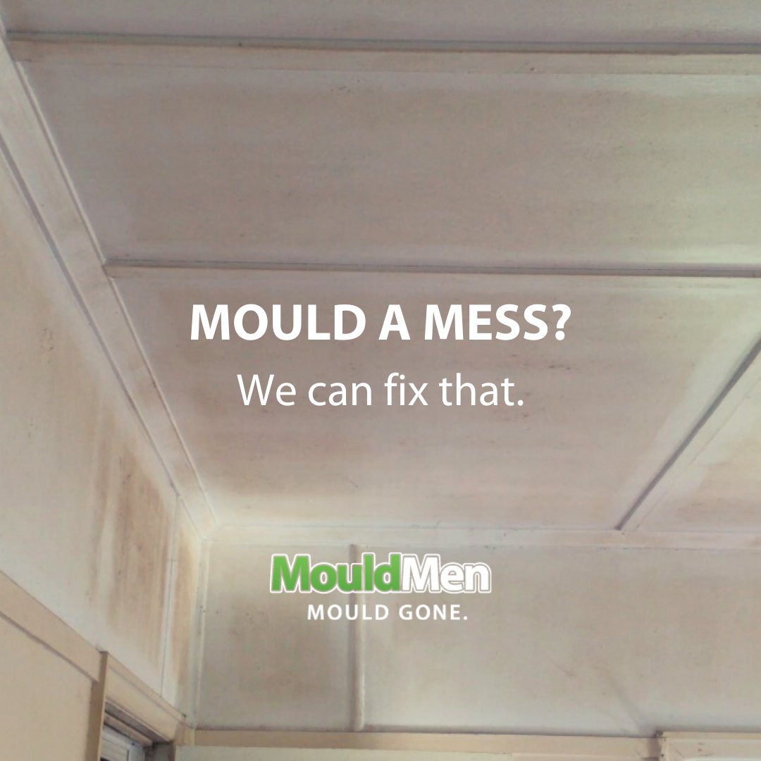 mouldmen's tweet photo. Stubborn mould is our jam.  Well, we don't eat it on toast but you know what we mean... https://t.co/Kd7RCYxMWO