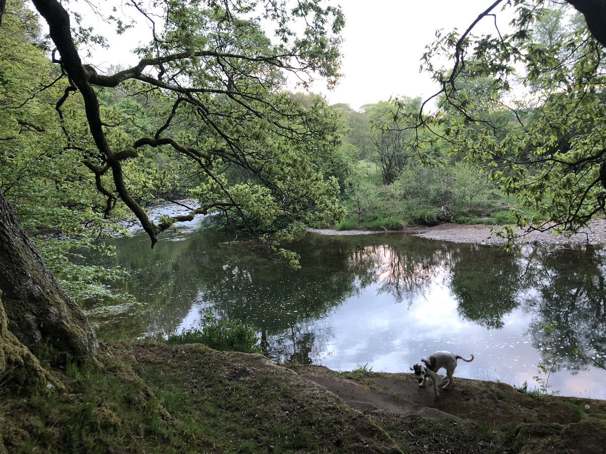 MissSWSmith's tweet photo. Had a walk down memory lane tonight : River Ayr at Mauchline. Had soo many family days out there as a child  @gem_mccall @BurnockEACH @karynnstevenson @kirstiejane69 @EAcommunityhosp @LynneOKane1 @step_count https://t.co/IqZYIxVPSe