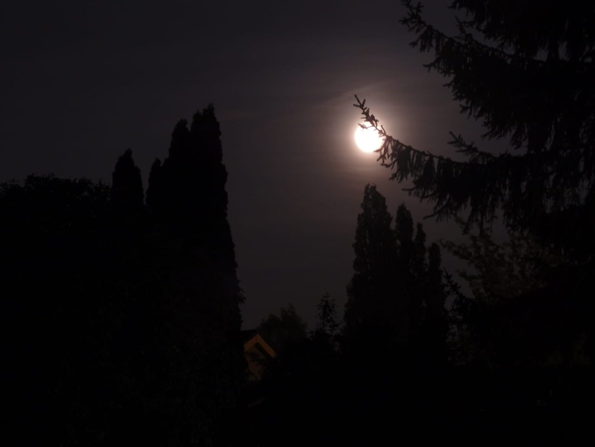 Day 1/7 of my life in pictures. Rules: no words, no people, nominate someone new every day. I was nominated by <a href="/moodytomato/">Laura Moody</a> and I nominate <a href="/WendyYeates2/">Wendy Yeates</a>