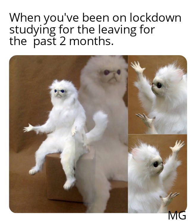 MattInc's tweet image. #cancelthelc #LeavingCert