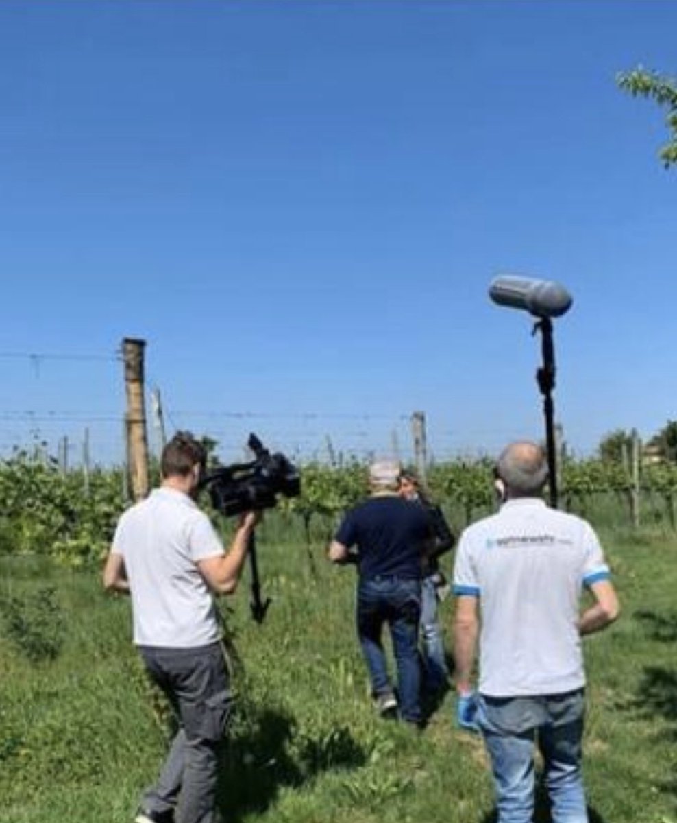 Cantina Quistello tweet media