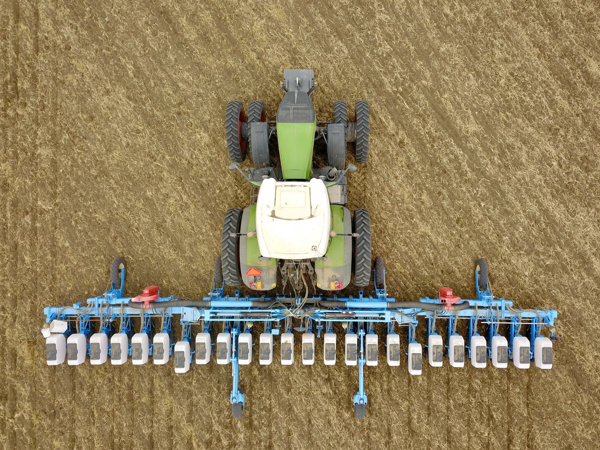 AJM Seeds tweet media