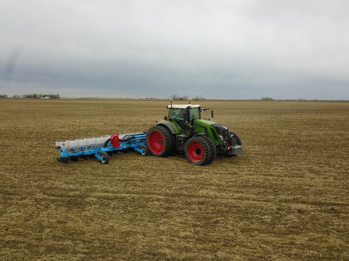 AJM Seeds tweet media