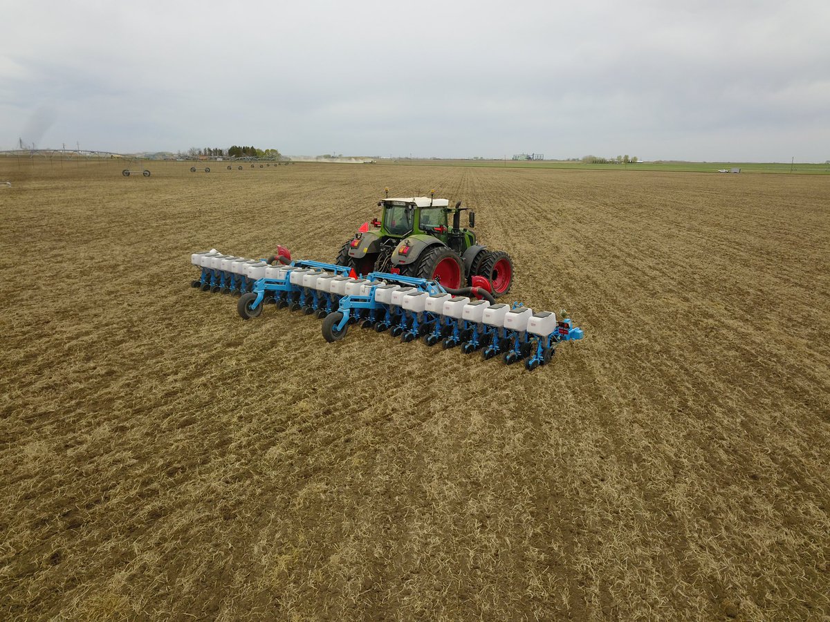 AJM Seeds tweet media