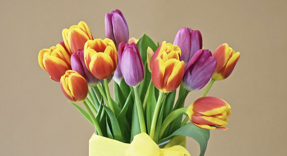 Celebrate Mother's Day conta.cc/2zlgsWQ