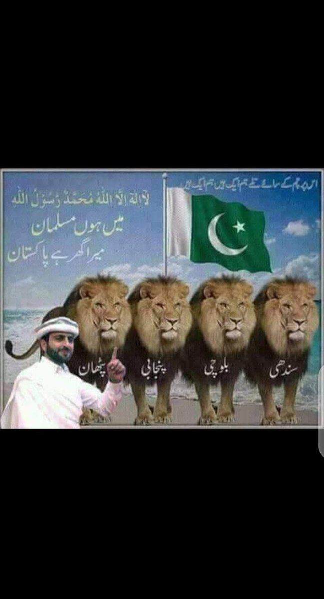 GulRookh's tweet photo. ہم سب کا پاکستان زندہ باد https://t.co/M9aSE8SweV