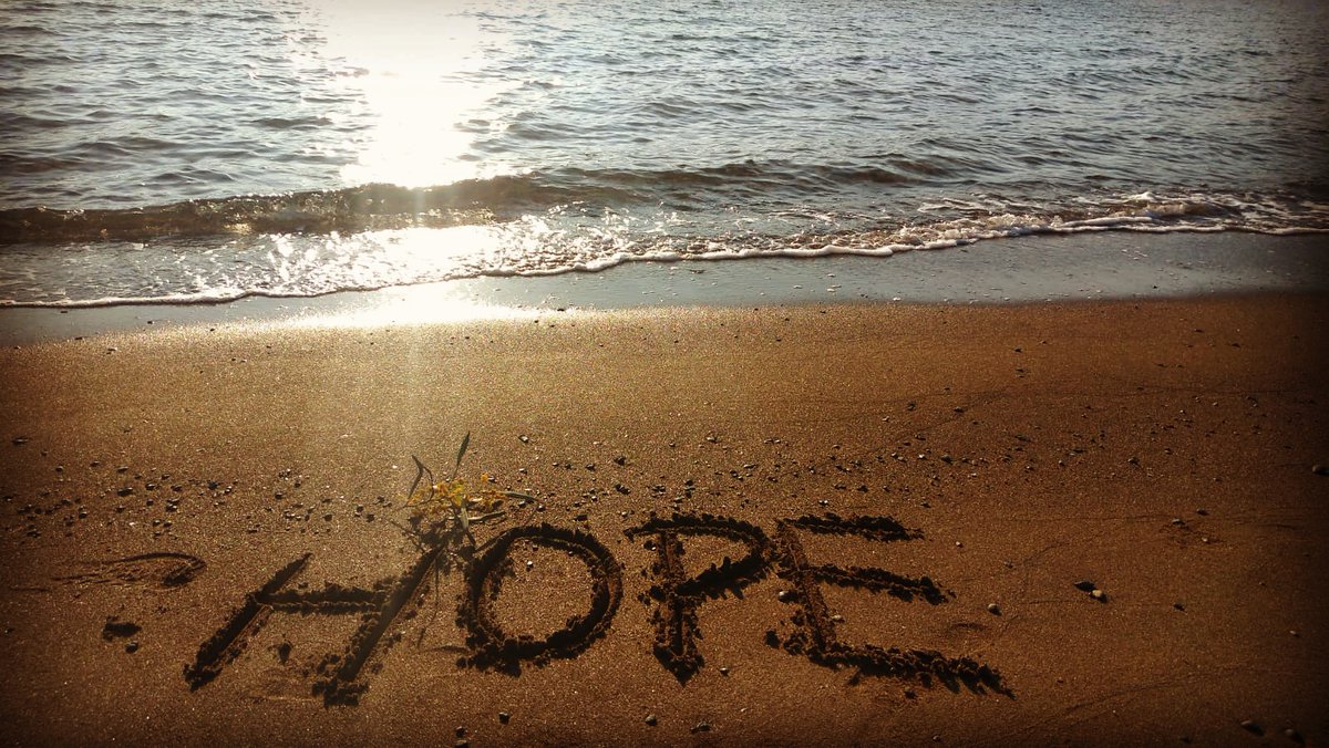 DatcaDiscover's tweet image. Şu ara tüm ihtiyacımız... #corona #gelmeyin #hope #datça