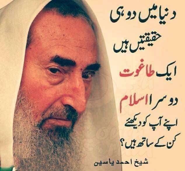 GulRookh's tweet photo. https://t.co/wDs48xJZlo