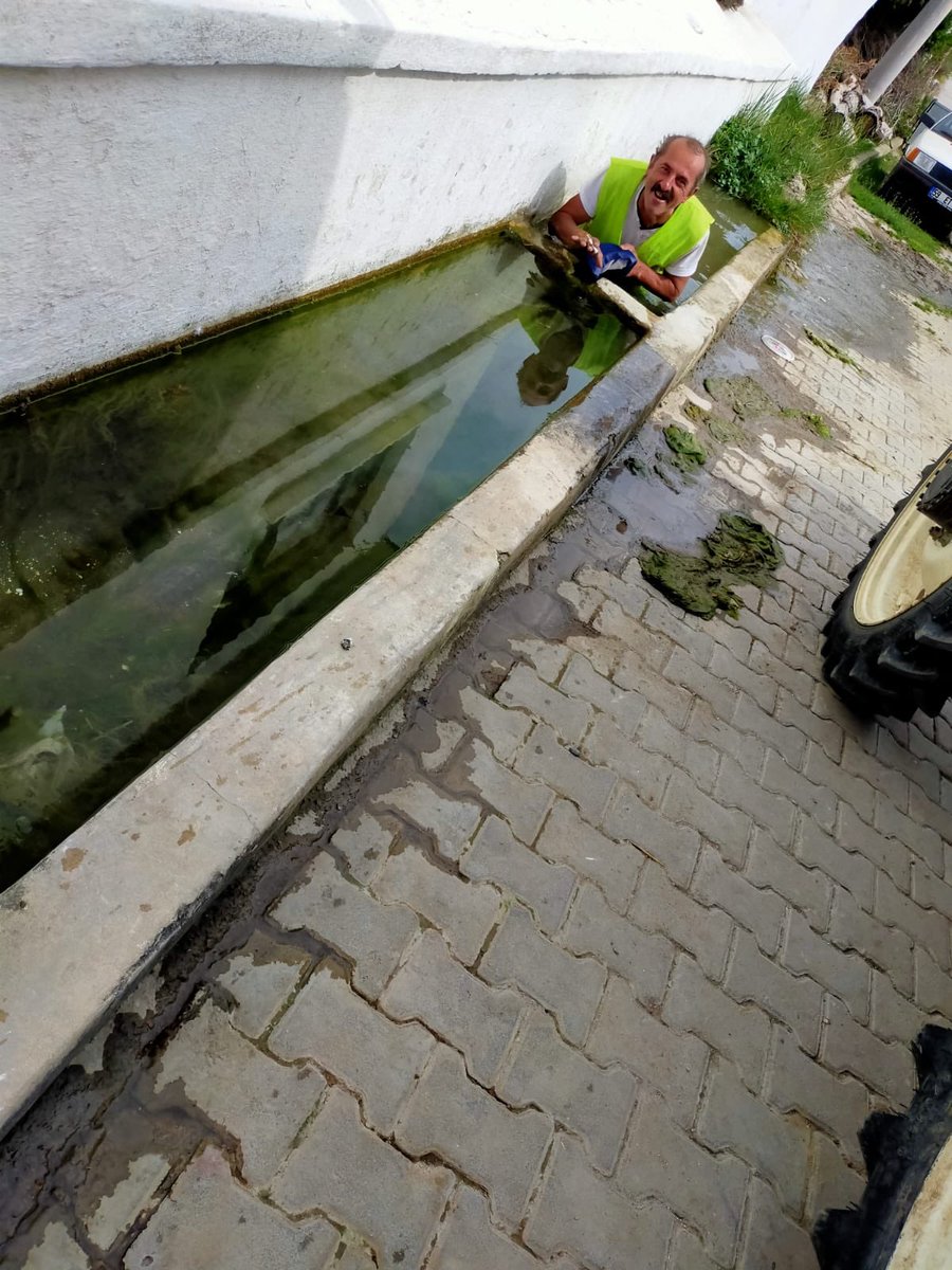 bu sıcak havalarda bir parça serinlik