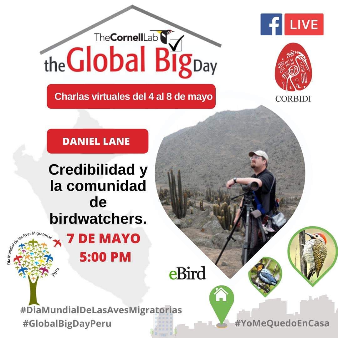 CORBIDIteam's tweet photo. Charla de Daniel Lane, con el tema : " Credibilidad y la comunidad de birdwatchers"
Sigan la transmisión en vivo https://t.co/j7KsURlUMz #BIRDS #DanLane #birdwatching #birdsconnectus
#GlobalBigDay #GlobalBigDayPeru #DMAM2020 #GBD2020 #AvesDesdeCasa #LasAvesConectanNuestroMundo https://t.co/JWtPecUOYC