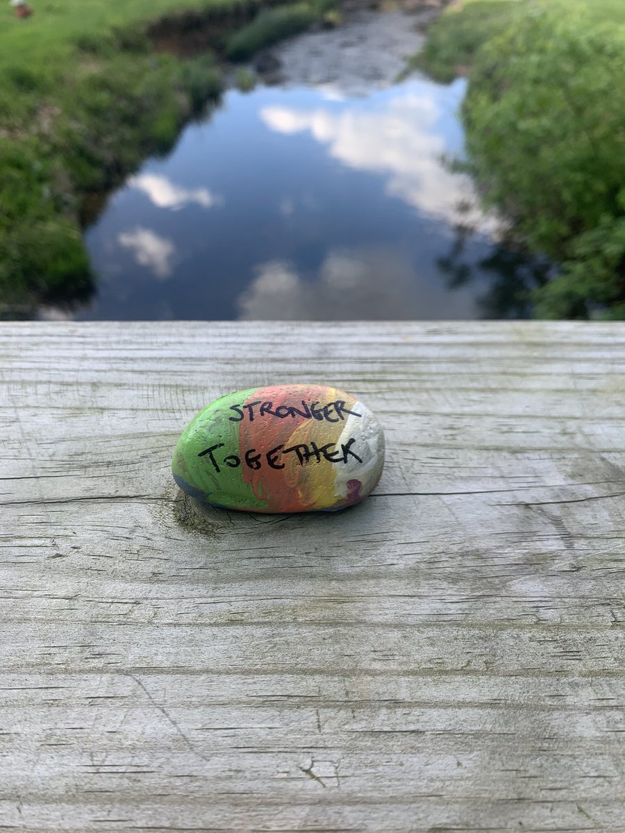 meg_harris4's tweet photo. Took advantage of this beautiful weather and went on a walk with my boys!  Look what we found!  Can’t wait for Field Day!! #gatorsdeserveit20 #GatorDone #LCPSFieldDay #NationalFieldDay #FieldDaySpiritWeek @GuilfordEle https://t.co/Pp71YYC7ma