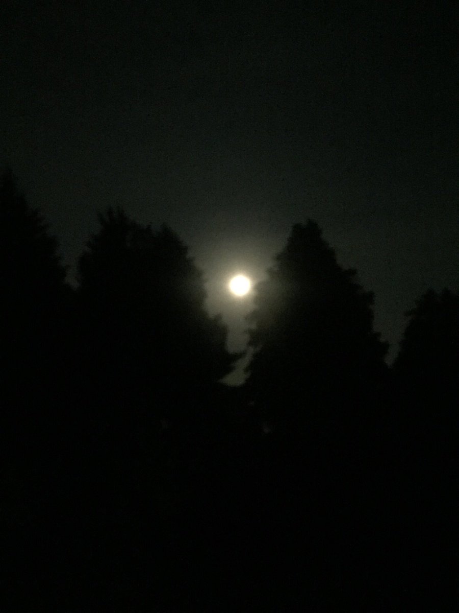 NomaDube's tweet photo. Spectacular Moon tonight ππΎ#thesky #supermoon #moon #moonlight #moonphotography #moonphases #theuniverse #theuniversehasyourback #theuniversehasmyback #earthday #earthdayeveryday #earth #theskyatnight #spectacular #spectacularmoontonight #spectacularmoon #tonight #supermoon #moon https://t.co/liK2M1OK1j