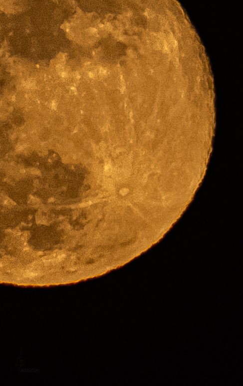 pacogd26's tweet photo. Ultima Súper luna del año 💛🌕 https://t.co/d1pr6OTU2W