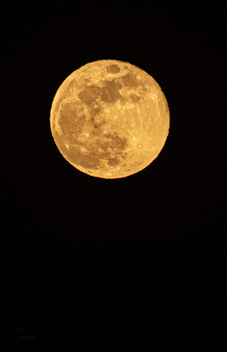 pacogd26's tweet photo. Ultima Súper luna del año 💛🌕 https://t.co/d1pr6OTU2W