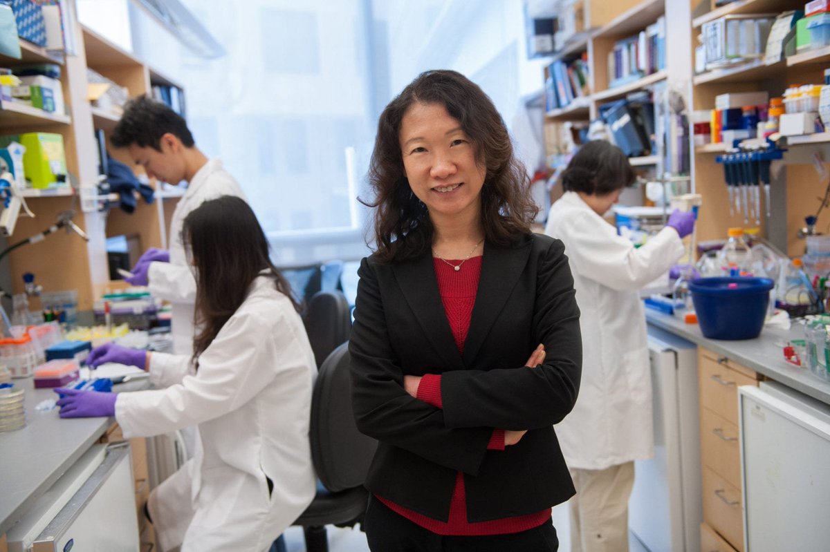 Prof. Hao Wu tweet media