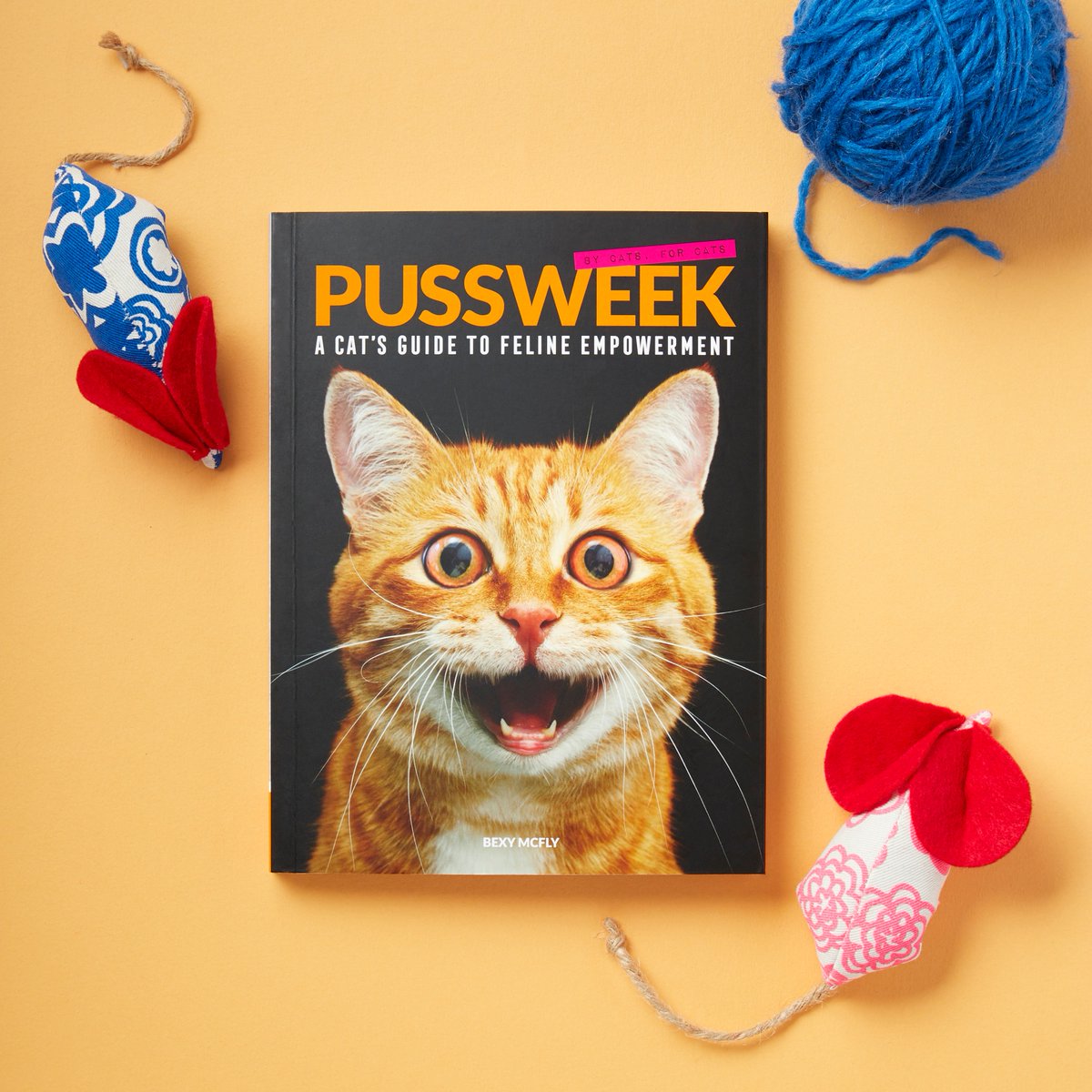 ChronicleBooks's tweet photo. By cats, for cats: #Pussweek is a feline parody of fashion and celebrity gossip rags, you and your cat didn't know you needed, but you won't be able to live without. 😻 https://t.co/GAYkNZIQdH https://t.co/8sIMgNz3Fl