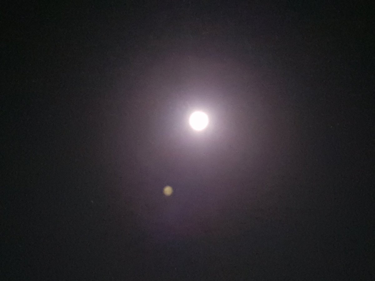 MohammedNHajAli's tweet photo. حتى القمر يبدو وادعا ساكنا بعد أن تلاشت الغيوم التي تشاكسه. 

# القمر فجر الخامس عشر من رمضان المبارك https://t.co/nF4mbUoJMi