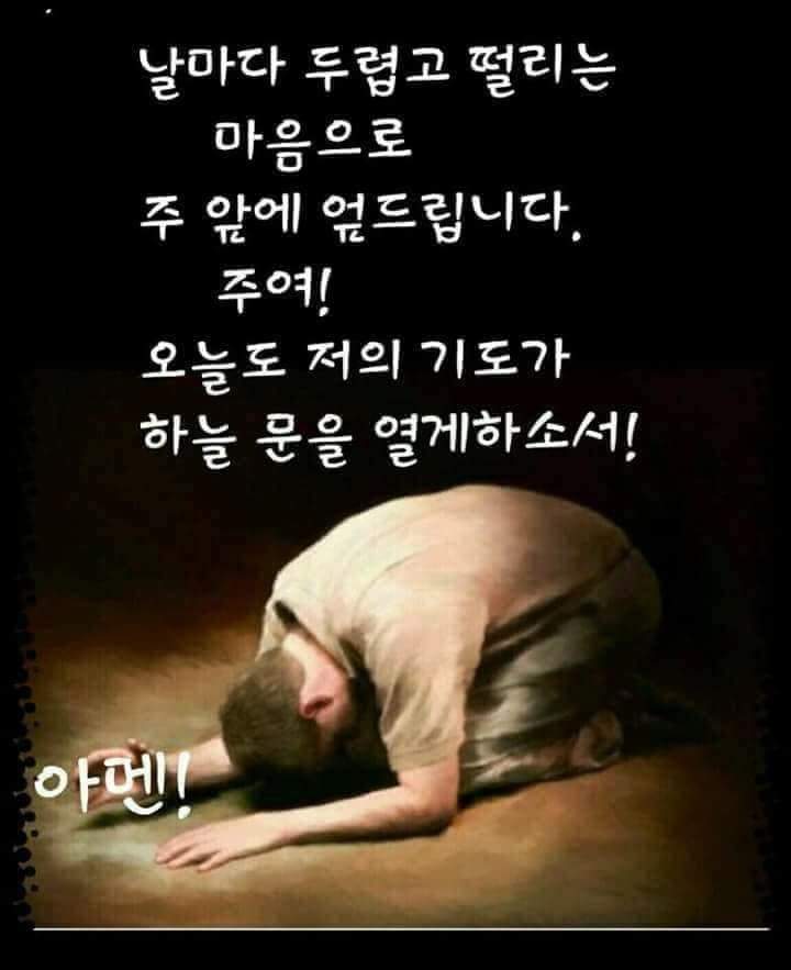 내가 복음을 전할지라도 자랑할 것이 없음은 내가 부득불 할 일임이라 만일 복음을 전하지 아니하면 내게 화가 있을 것이로다(고전9:16)