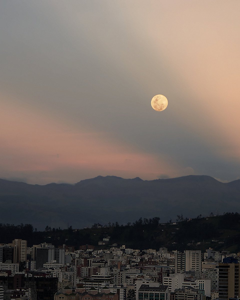 quitoenredes's tweet photo. Quito y sus atardeceres mágicos
Foto: @bryan_jarasantamaria
#QuitoEnRedes #Quito #Pichincha #QuitoTuristica #QuitoesEcuador #Ecuador #IgersQuito #QuitoTravels #QuitoTurismo #QuitoRestaurantes #LaDelicia #Calderón #EugenioEspejo #ManuelaSáenz https://t.co/U7dtobvw1N