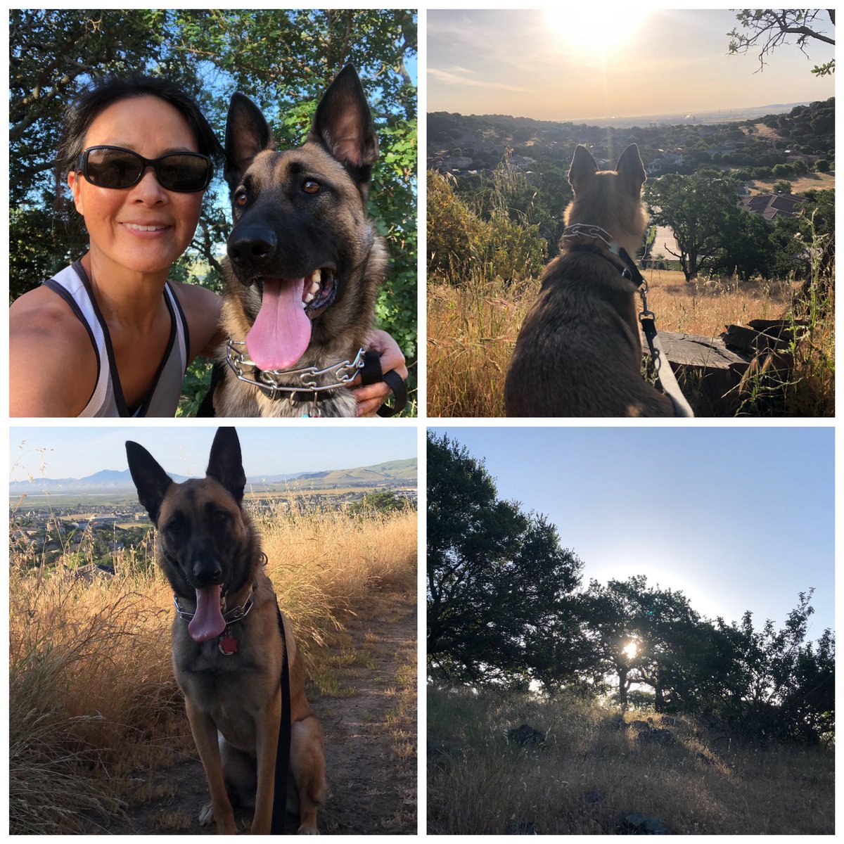 choy_shareen's tweet image. Forgot to post... 2.5 mile morning run/hike before it got hot! Loved the quiet solitude! 23.3/50 #FSUSDRunsThis #Slay50MilesInMay