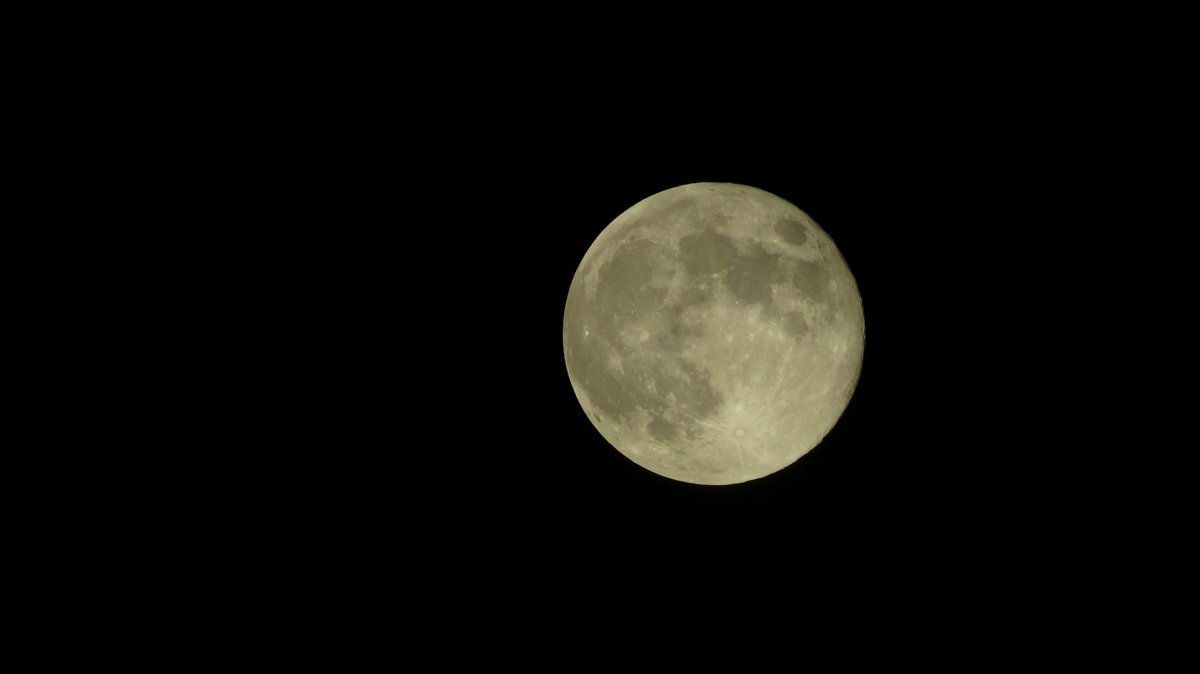 #moon #supermoon2020 #maan #canon shot with #canonSX540HS #FRYSLÂN #oudemirdum #Netherlands #littlebitcloudy @helgavanleur @Talpaweer @Weerplaza @weerenradar @weeronline @weermanrobert @pietsweer #goodnight #welterusten @ebdrachten