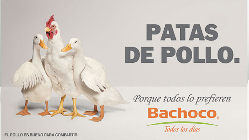 PosterAgs's tweet photo. Con la publicidad que #Bachoco a realizado en #anunciosespectaculares, nos demuestra que la creatividad e ingenio nunca se acaban, redefiniendo con esto las expectativas de un #MarketingStrategy exitoso. 🤗
Abro hilo de sus anuncios. https://t.co/G68pPfPwwj