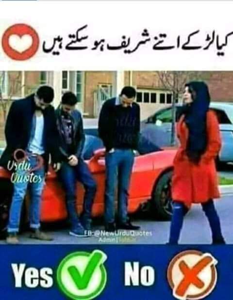 GulRookh's tweet photo. https://t.co/6OmIMTsf6C