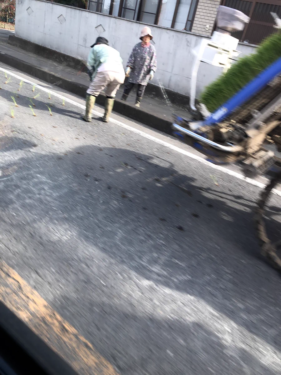 渋滞の先頭が悲劇…！田植え機がアスファルトに苗を植えていたwww