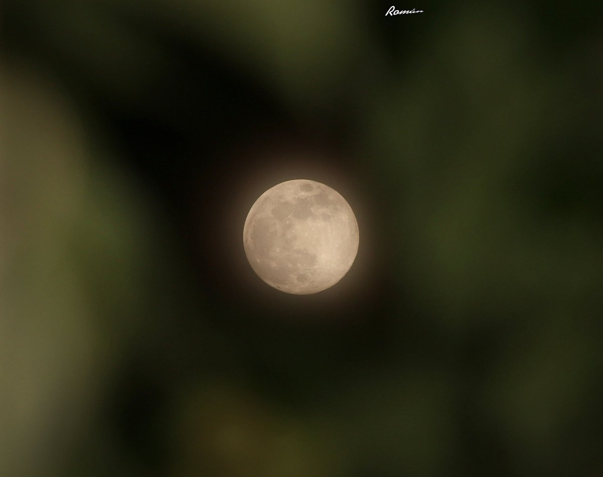 Mirad que fotito ha sacado <a href="/tiopetos/">Alberto Román</a> desde nuestra Úbeda! Pensad que todos los que están lejos por esta mierda ven esa misma luna sea donde sea! Y eso nos acerca. Cada vez queda menos! #supermoon #Úbeda