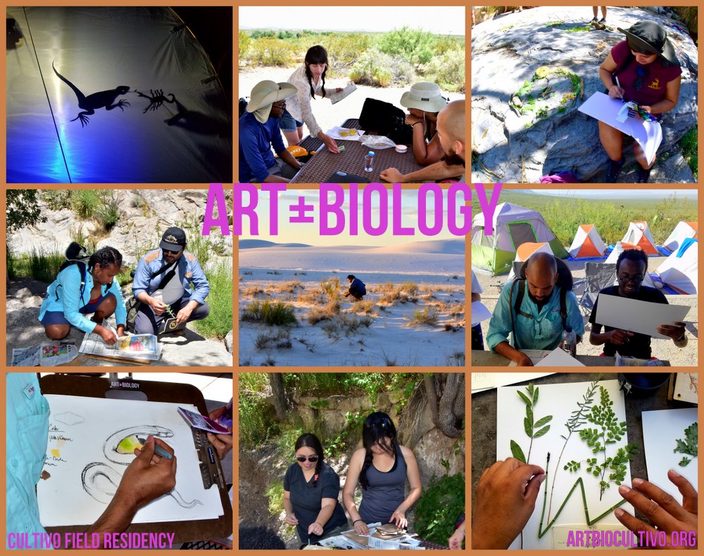 ArtBioCollab's tweet image. 🙌🏾&quot;Peru, Jamaica, Bolivia, Haiti, Mexico, Kenya, and Argentina represented the inaugural 🌱Cultivo #FieldResidency for Artists and Scientists of Color...&quot; —Throwback to sharing, growing + creating w/each other in the #ChihuahuanDesert on the U.S.-Mexico Border. #TBT. #ArtScience