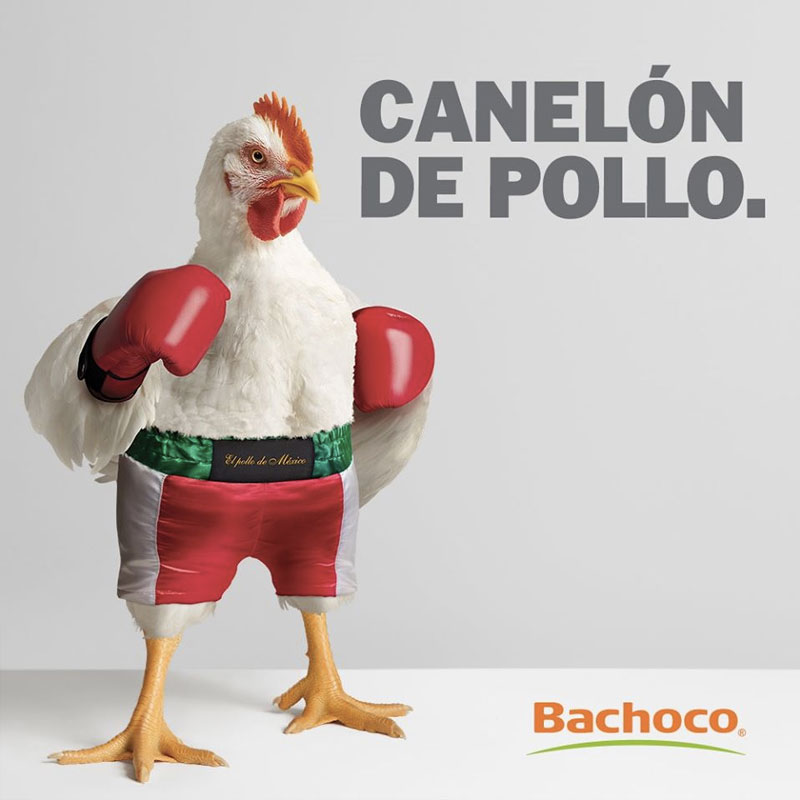 PosterAgs's tweet photo. #MarketingStrategy https://t.co/z6sAgqoY5G