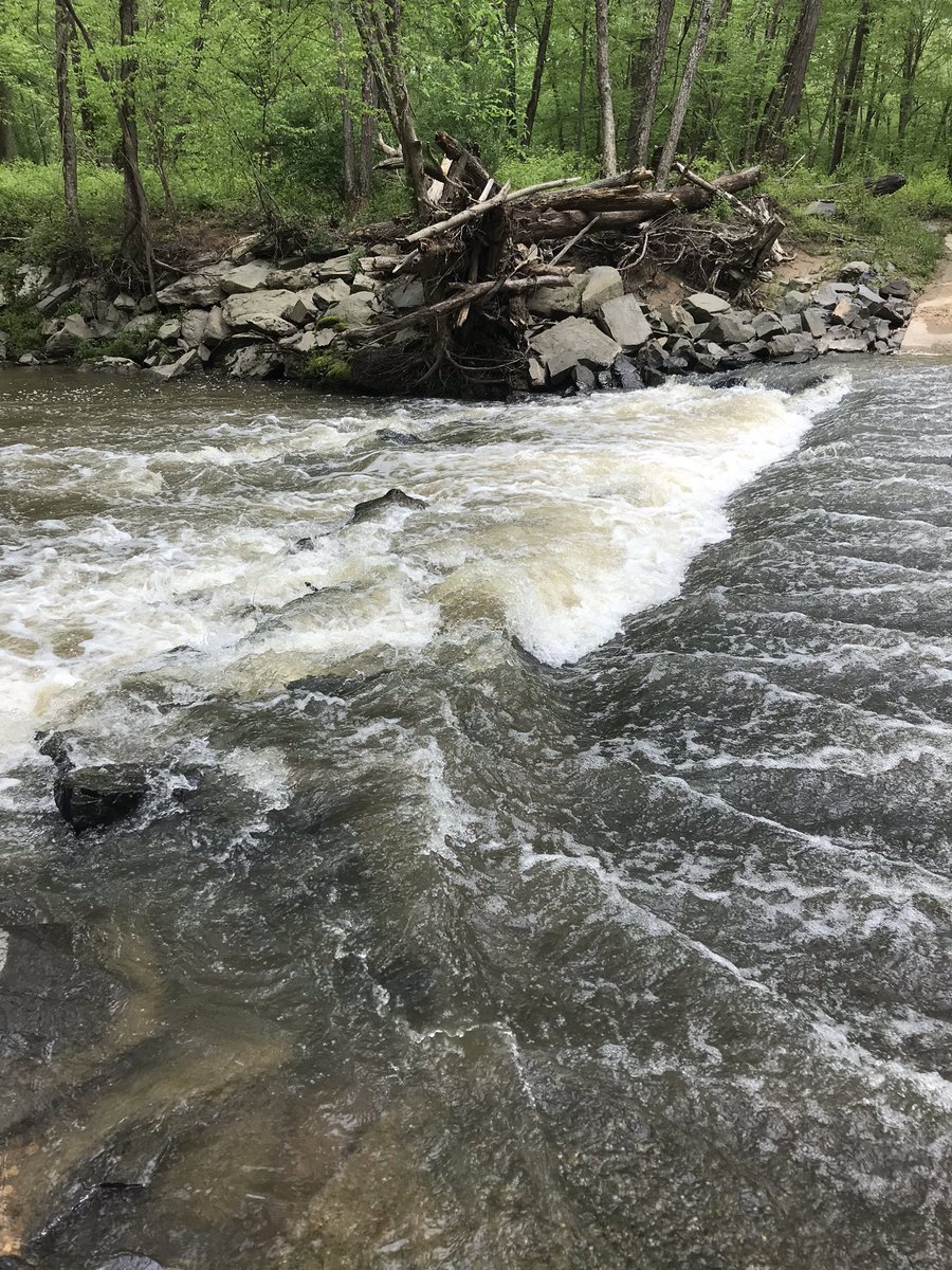 jwschrader1's tweet photo. Love those local trails #difficultrun https://t.co/6X0cRSVEUH