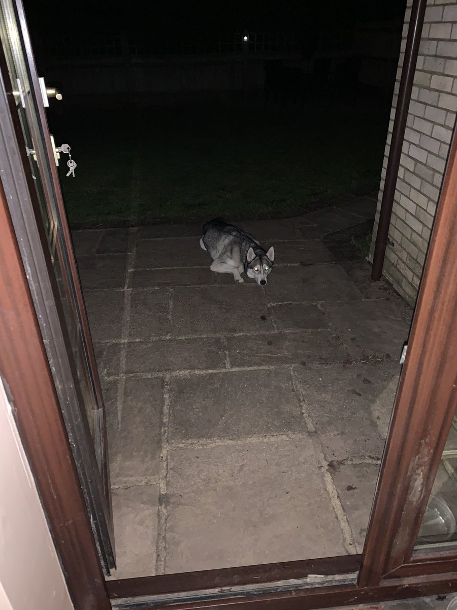 Kel12Rutledge18's tweet photo. In the middle of a standoff with Shadow 🐺 who refuses to come in as she knows it’s bed time 💤 & would much rather moon bathe 🌑 #ShadowTheHusky #Stubborn #ButCute #IWantToGoToBed #SheDoesnt https://t.co/Evz1r5B8Mj