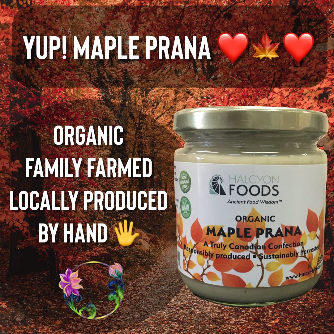Lotusherbal's tweet photo. Delicious maple butter, mixed with love by hand.  
Coconut Prana now comes with maple syrup. 
Now available at Lotus Herbal Health. 
#halcyonfoods #local #organic https://t.co/uSv87f9dNL