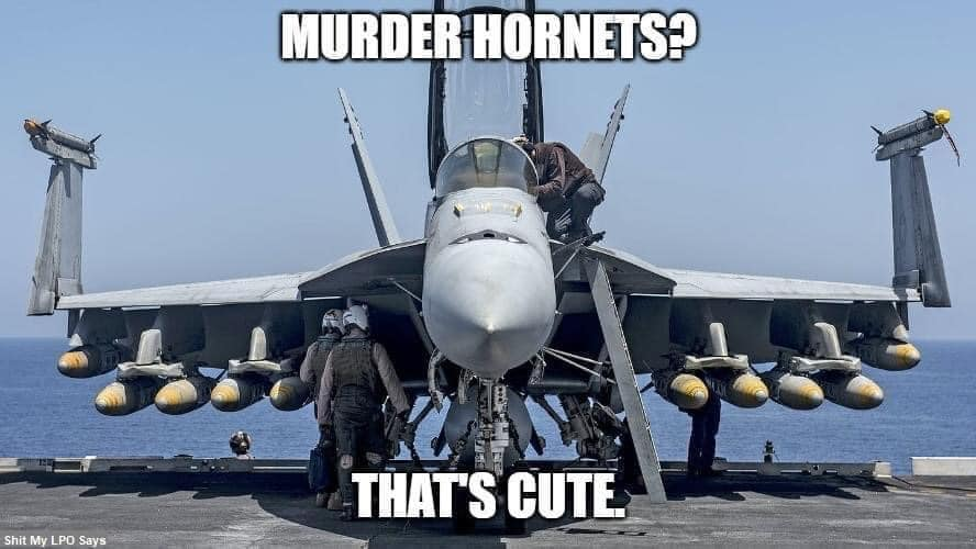 #MurderHornet 🤣 #AirShowHumor
