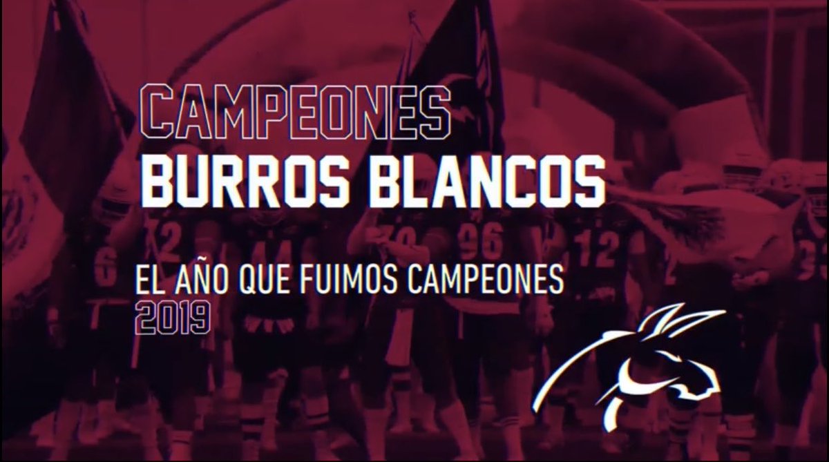 BurrosBlancos's tweet photo. En este camino FBA Canal Once estuvo con nosotros y hoy nos ayuda a contar esta historia, un equipo, una familia, que hoy más que nunca esta orgullosa de decir que NO HAY NADA MEJOR QUE SER BURRO BLANCO. 🇱🇻🏆 
 Ve el documental 👉🏽 https://t.co/kuK0pymDoh https://t.co/nTjo08h0bD