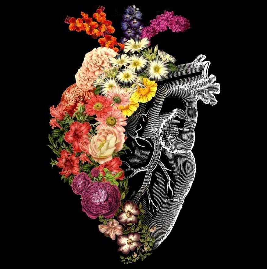 ���� ���� ������ �� ���� ������