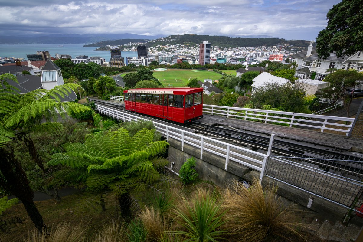 I do love Welligton & can see myself back there again one day  #BitsOfNewZealand