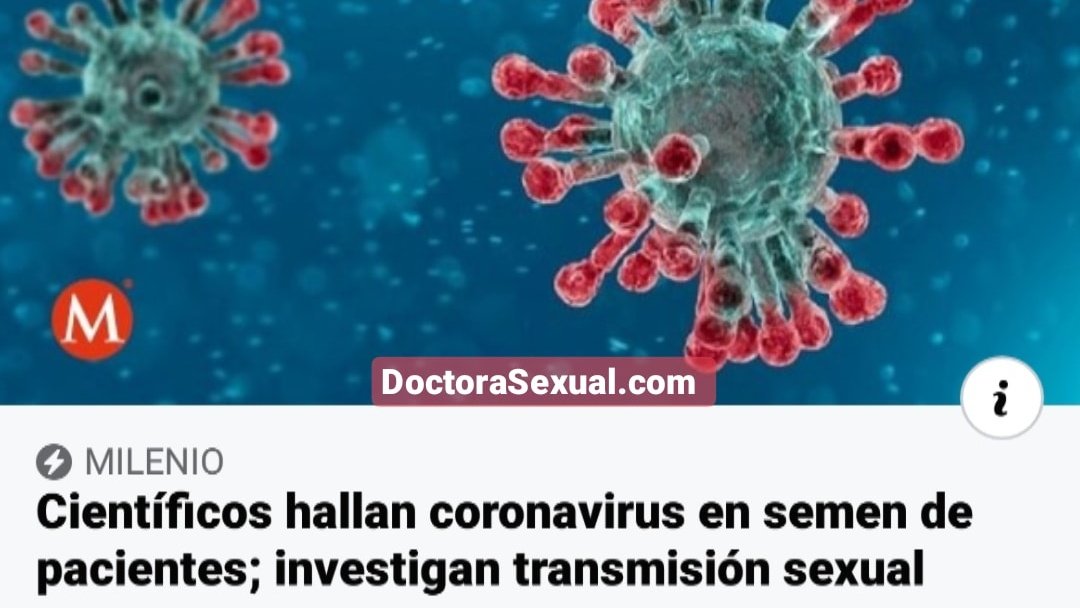 DoctoraSexual's tweet photo. 🇨🇳 | Una última investigación en China, detectó pequeñas muestras del nuevo coronavirus en el semen de pacientes infectados.

No se ha podido confirmar si el COVID-19 pueda transmitirse a través de relaciones sexuales ya que el estudio solo ha sido realizado a 38 personas. 🤓 https://t.co/qyexUYZDIZ