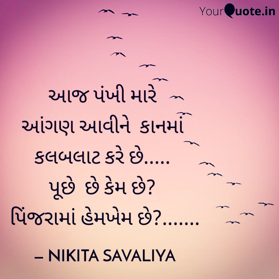 nsavaliya1's tweet photo. #freedom
#free
#joy
#joyoffree
#lockdowneffect
#lockdown
#naturelovers
#NatureisBalancing
#naturesbeauty
#nature
#lockdownindia
#StayHome
#StayAtHome
#StayHome
#StayAtHomeChallenge https://t.co/BTGgcMypXe