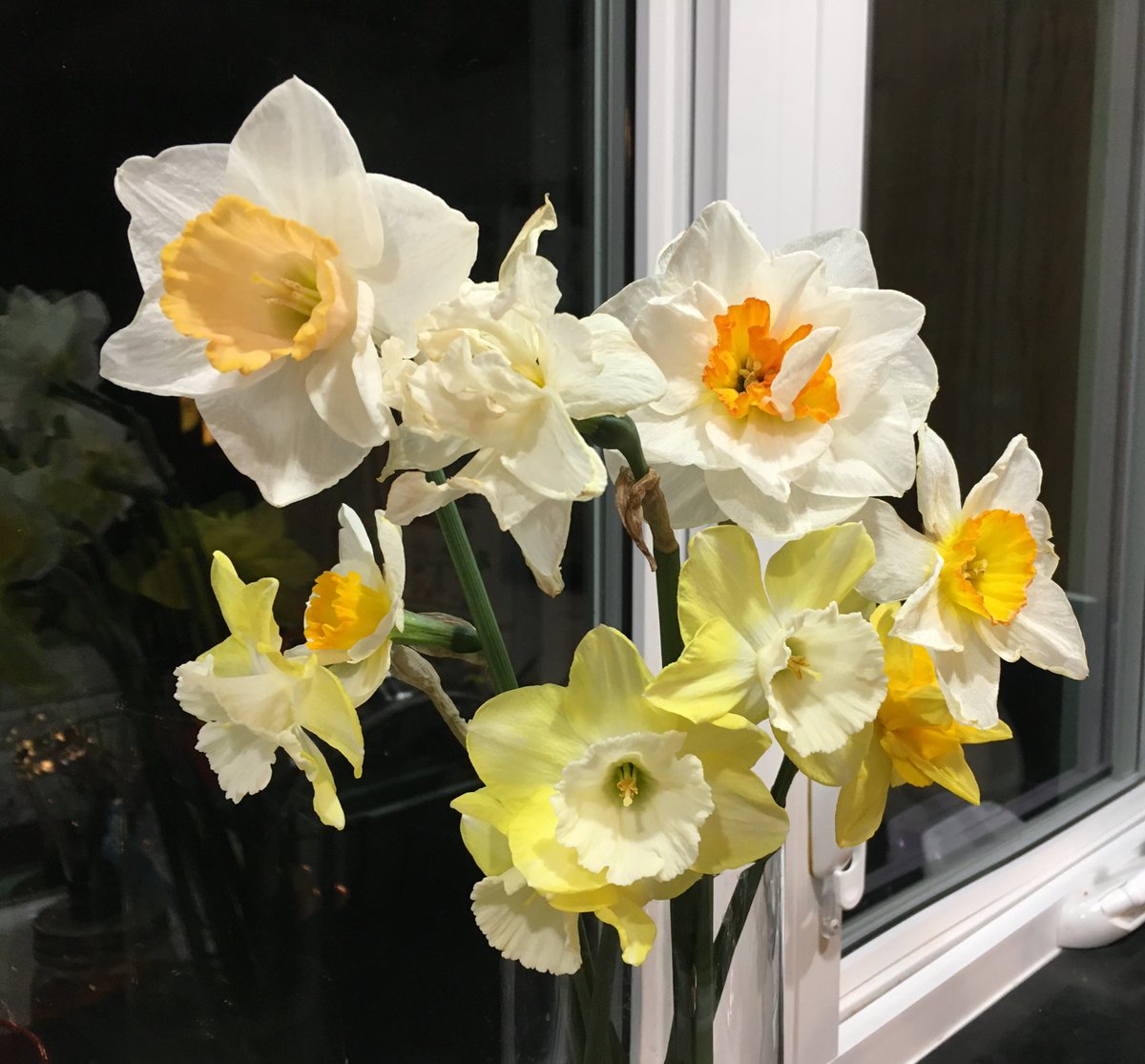 nicholas_rich's tweet photo. Diverse Bounty.
#spring #flowers https://t.co/eERjpGtHBK