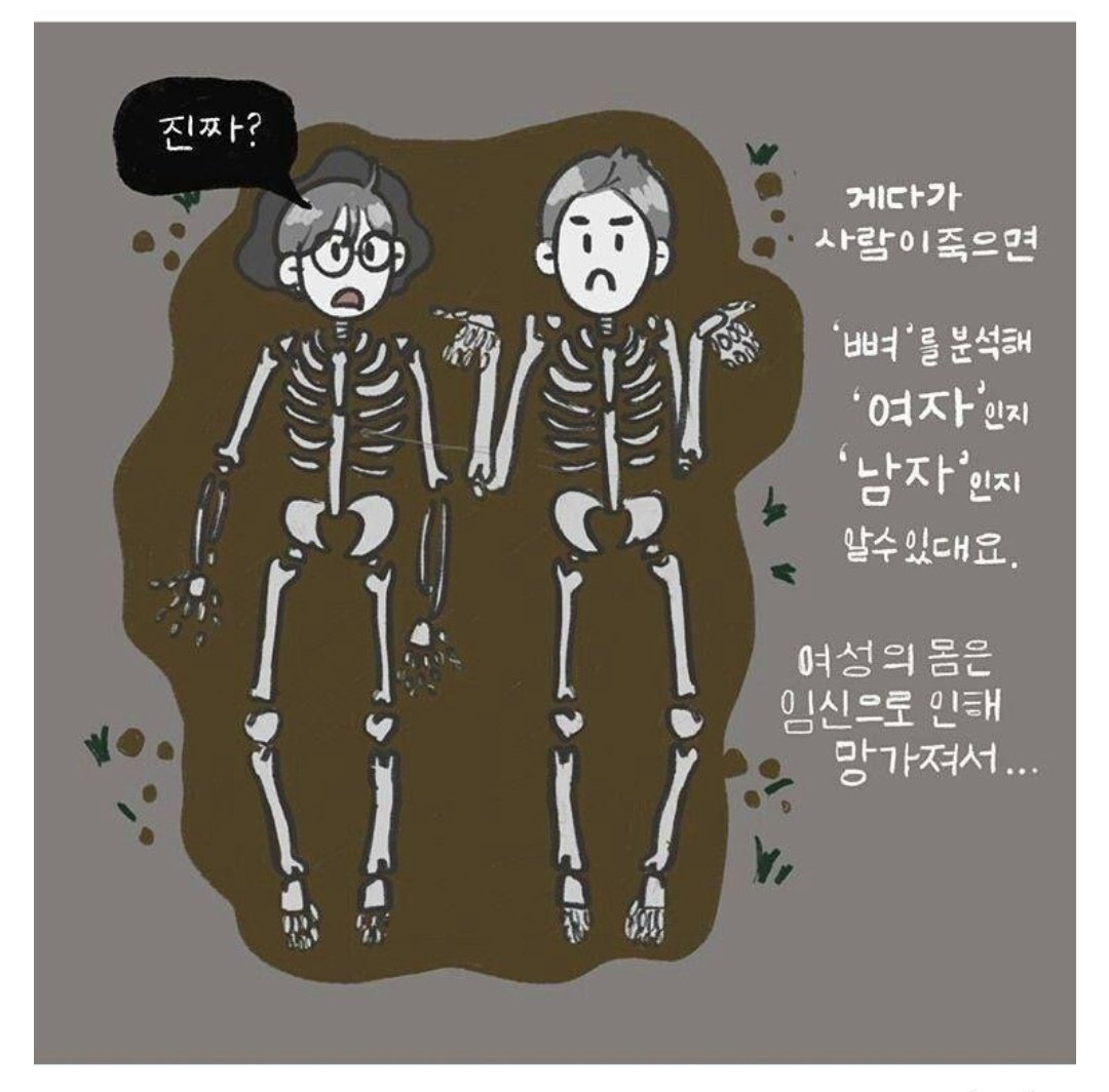 미국 드라마 본즈를 보면, 진짜 남녀의 골격은 전문가가 보면 바로 구분 가능할 정도로 차이가 존재한다고 계속 나옴. 일부분 뼈만 보고도 남녀를...