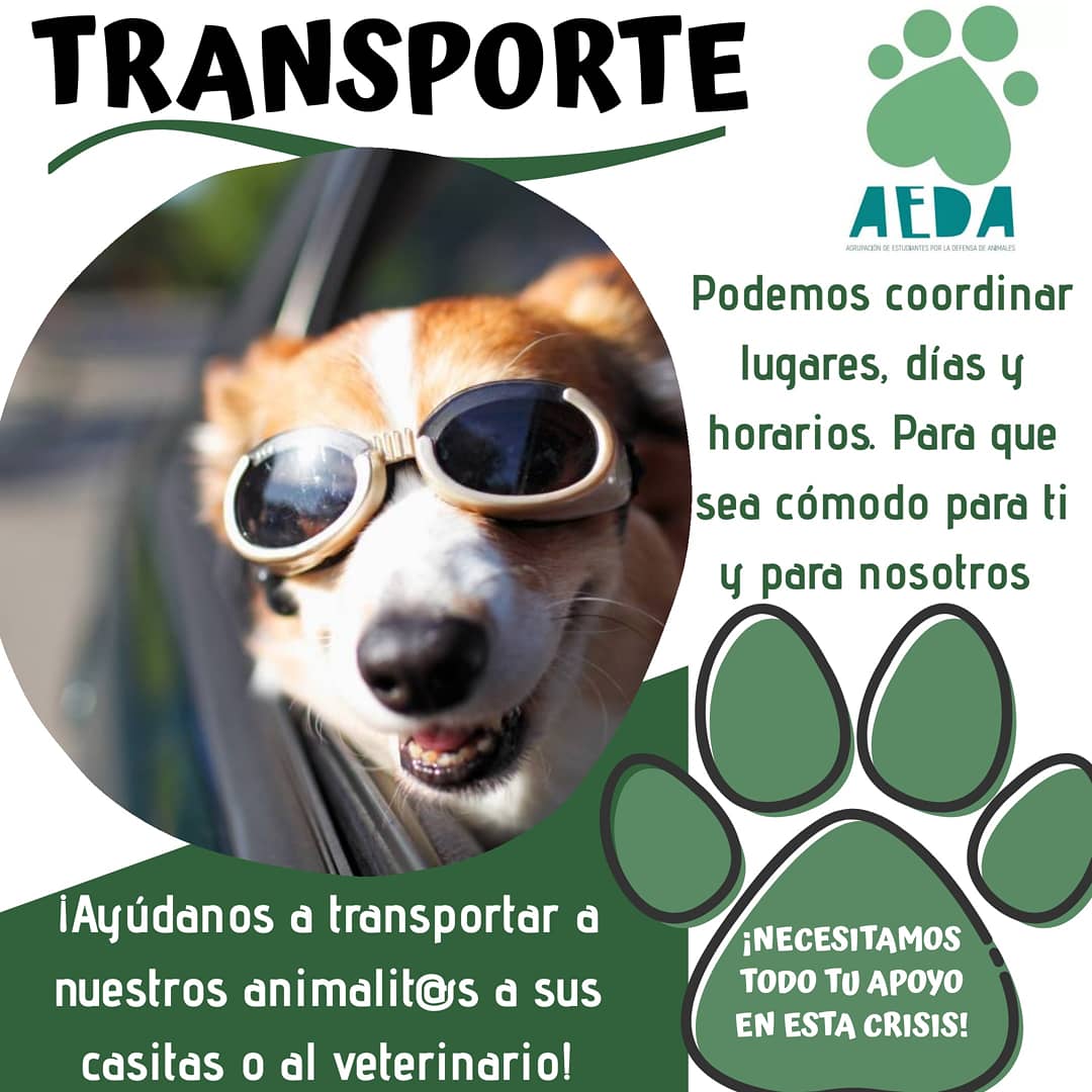 Tu ayuda es fundamental!