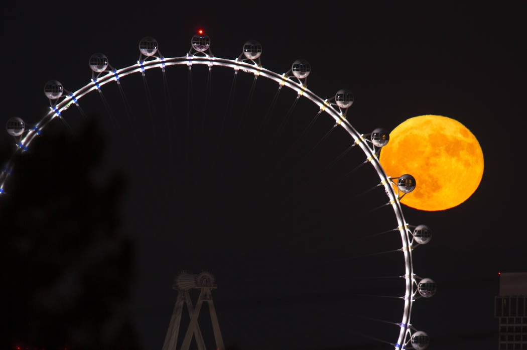 LasVegasLocally's tweet photo. No city full moons like Vegas.

Photos by @vegasphotograph ✨ Buy prints: https://t.co/zTm3pRZDv5 https://t.co/eIKZ4aB0d1