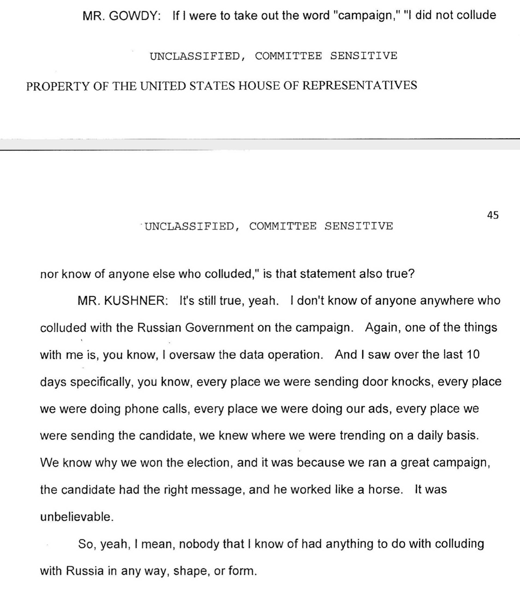 BENGHAZI: So you didn't like collude with Russia, did you?KUSH: No, I only take their money and work directly with Russian intelligence on cyberwarfare and propaganda Ops for the campaign, and that's very different.