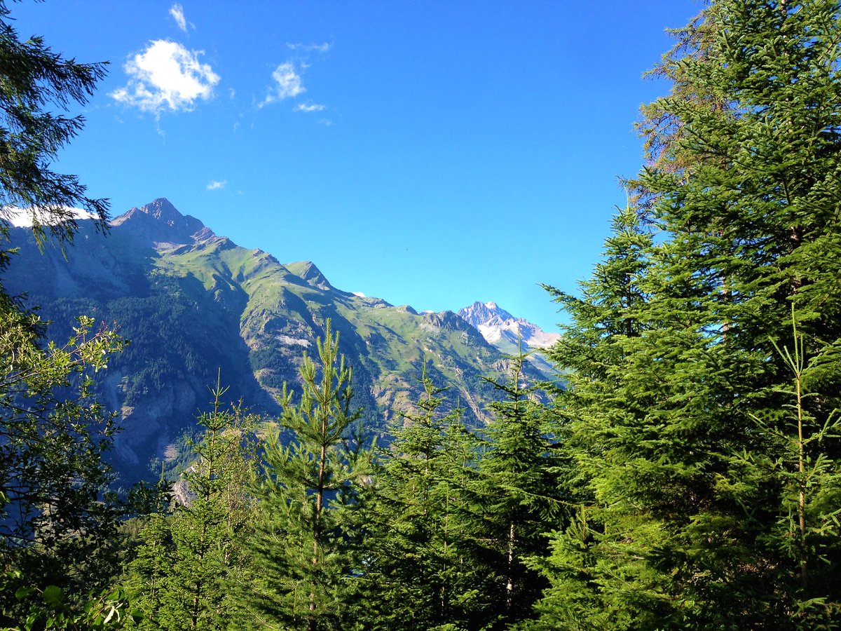 chaletnormalie tweet media