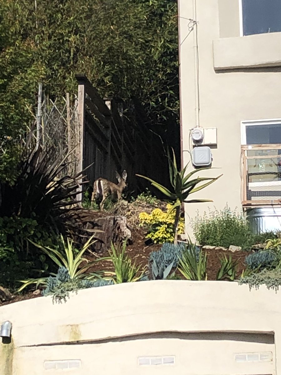 finalnuke's tweet image. all i have been able to think about lately is how there is no one that has been able to do what outkast has done